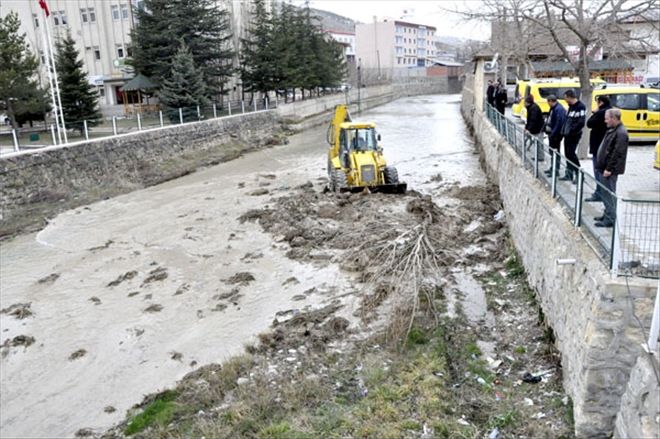 Tohma Çayı´nı temizledi