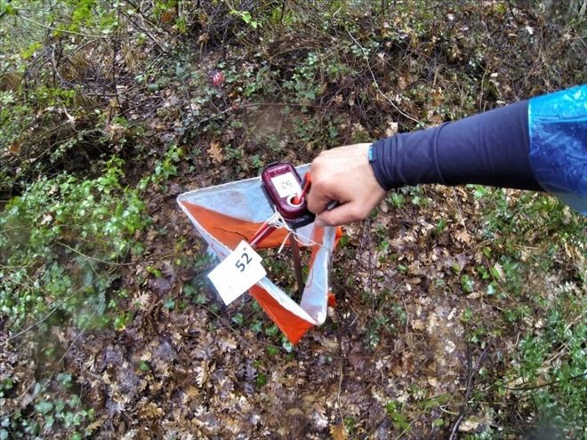 Oryantiring de yarışlar bugün