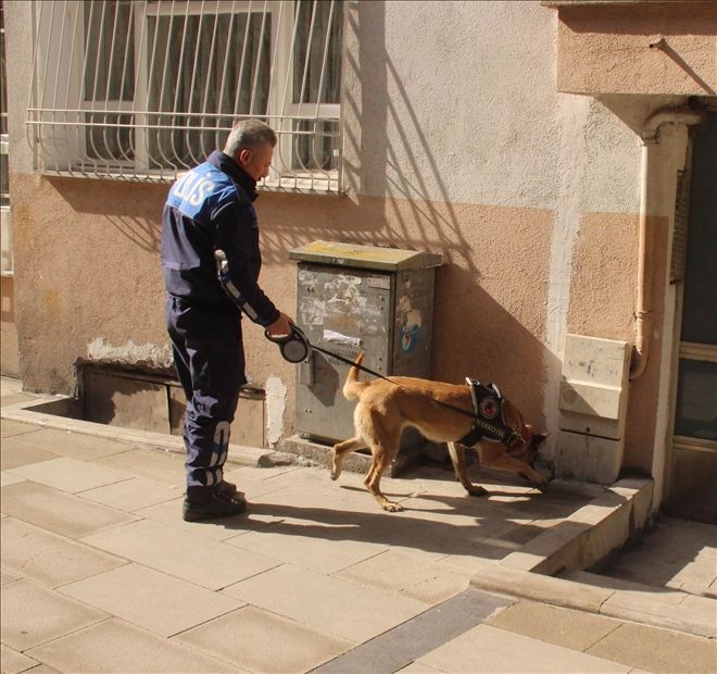   Narkotik köpeği ´Eva´nın huzur mesaisi 