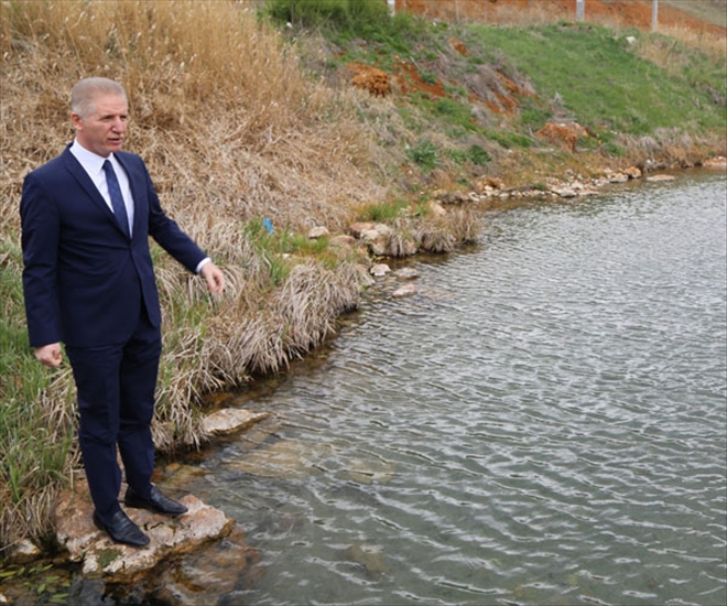 KANGAL BALIKLI KAPLICA´YA KARDEŞ GELİYOR