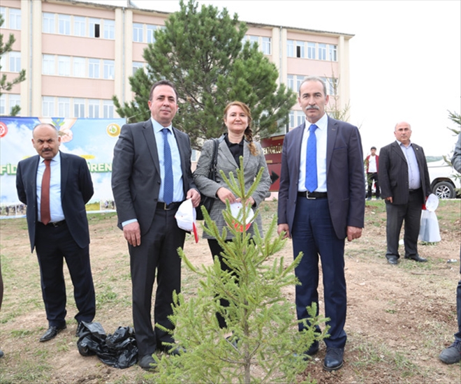 Daha yeşil bir üniversiteye doğru
