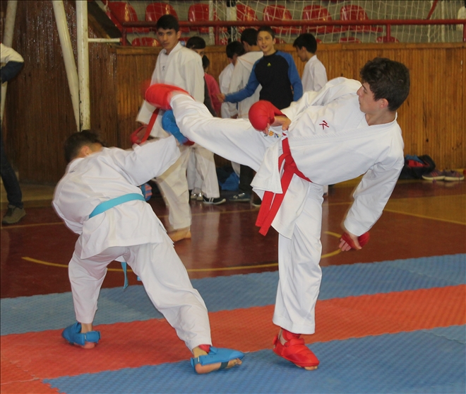 Ada, milli takım kampına katılıyor