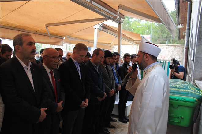 Sivas´ın sessiz gözlemcisi hayatını kaybetti