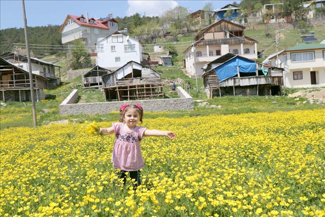 Eğriçimen Yaylası´nda ilkbahar güzelliği 
