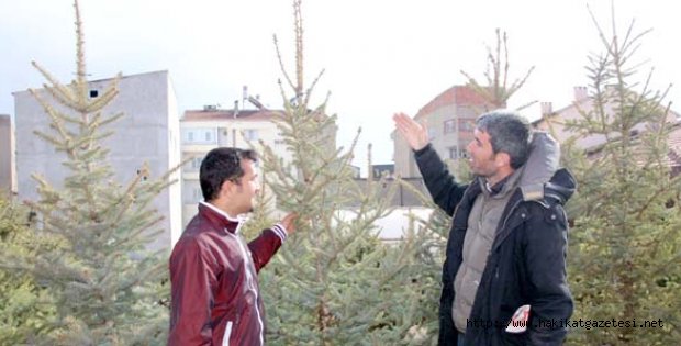 Bahar Geldi, Fidanlar Satışta