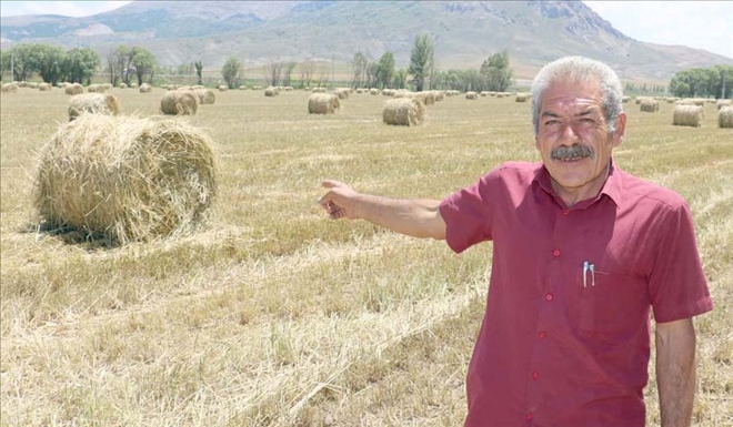  FİĞ BALYALARININ İLGİNÇ GÖRÜNTÜSÜ 