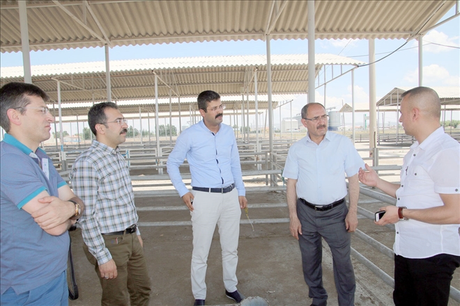 DAP İdaresi Başkanı Demir´den incelemeler
