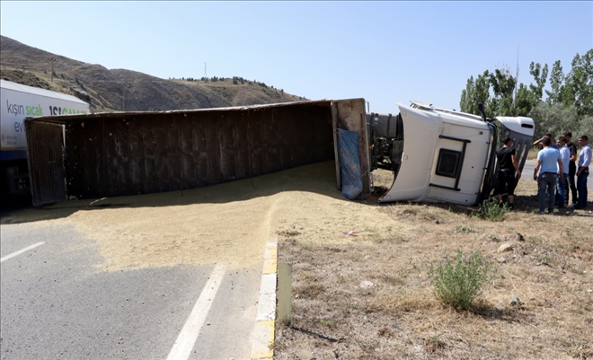 Devrilen Tırdaki 6 Ton Arpa Yola Savruldu