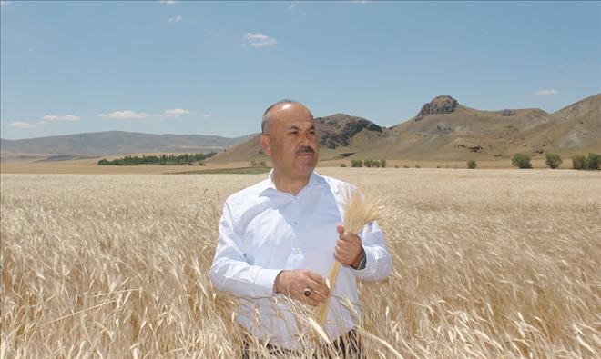 Yıldız, Siyez Buğdayını İnceledi
