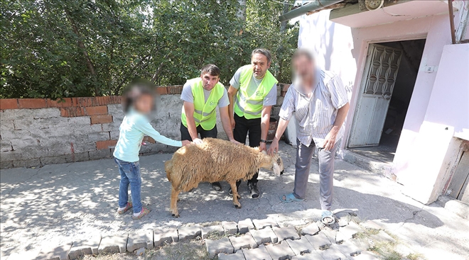 Yetim Gülerse Dünya Güler