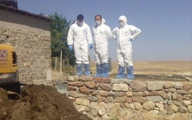 Sivas´ta Şarbon Şüphesiyle Köyde Panik 