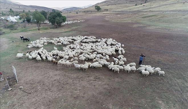 Yayla Sezonunda Sona Gelindi