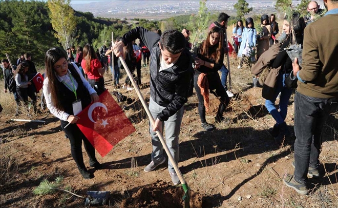 95´inci Yıla Atfen 95 Fidan Dikildi