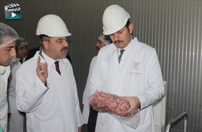 İstihdama Yönelik Projeler Hız Kesmeyecek--Video