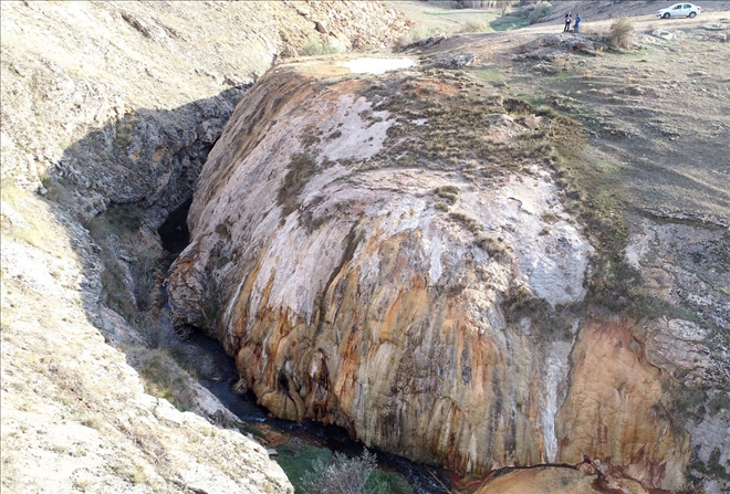 Dünyada Örneği Az, Biri De Sivas´ta 