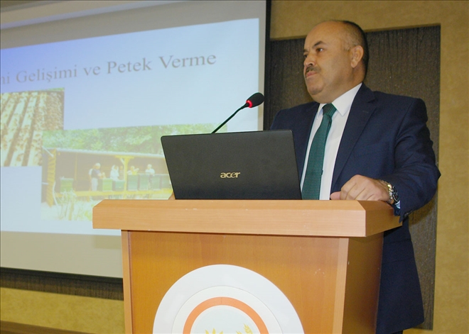 İlimiz Arıcılıkta Önemli Bir Noktada