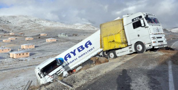 Kurbanlık Değil, Kaza Kurbanı Olduklar