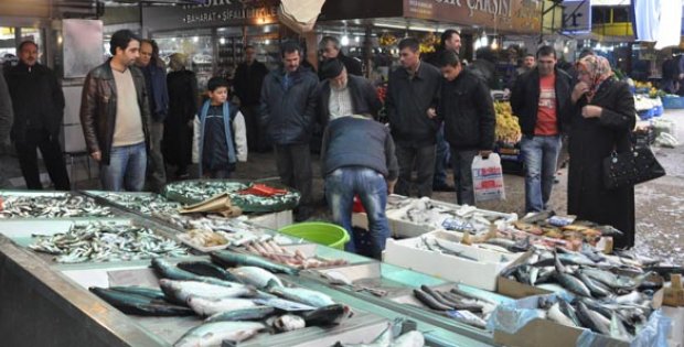 Balığa İlgi Artıyor