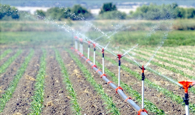 Bin 300 Dekar Arazi Sulamaya Açıldı 