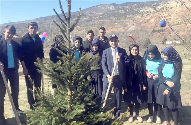 Hatıra Ormanı Oluşturuldu 