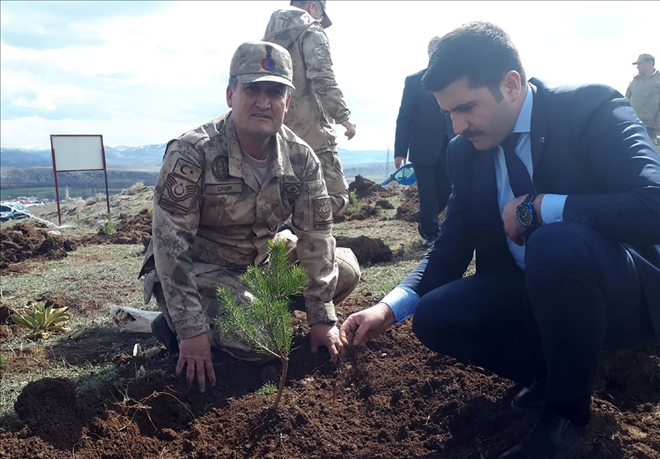 Jandarma Fidan Dikti