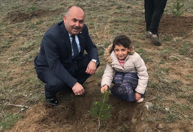 Ağaç Sevgisini Kazandırmalıyız