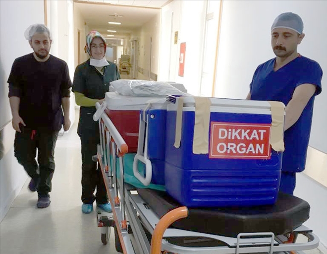 Organları İle 7 Hastaya Umut Oldu