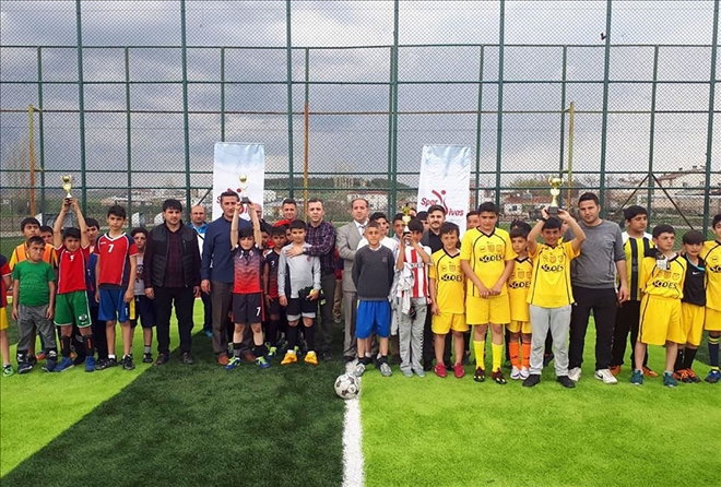 Spor Sivas Meyvelerini Veriyor