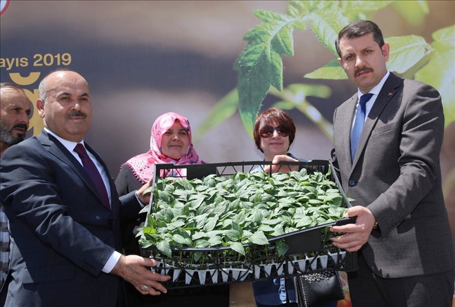 Gayemiz Kırsalı Canlandırmak