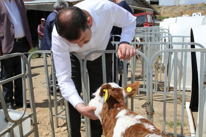 İstihdama TKDK Desteği 