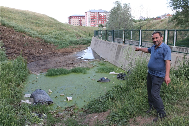 Tehlike Saçıyor