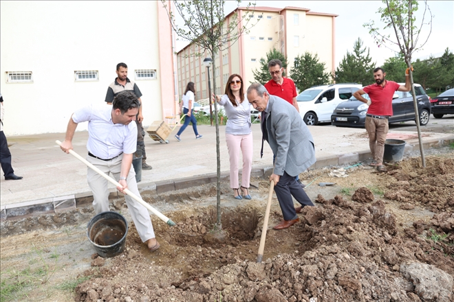 Her Ağaç Bir Nefes