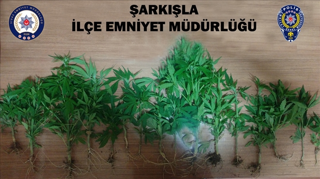 Hint Keneviri Ele Geçirildi 