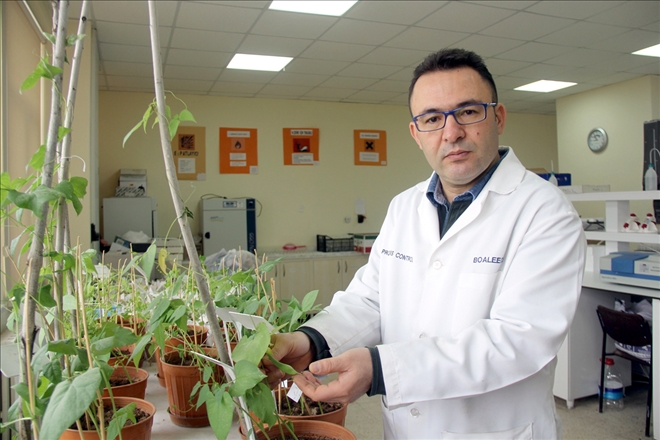  Suyumuz  Boşa Akıyor 