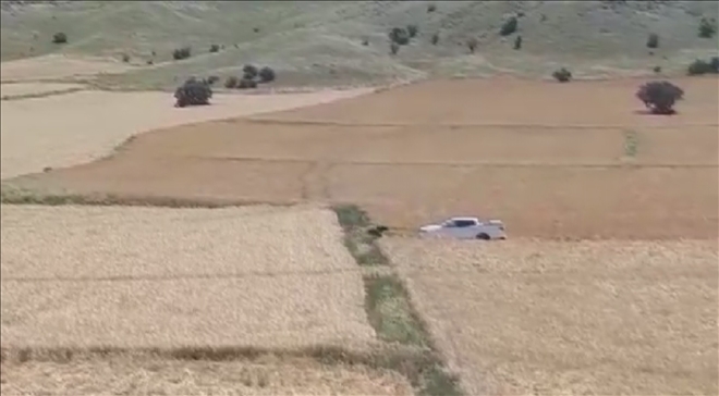 Yardıma Gittikleri Ayı Saldırdı 