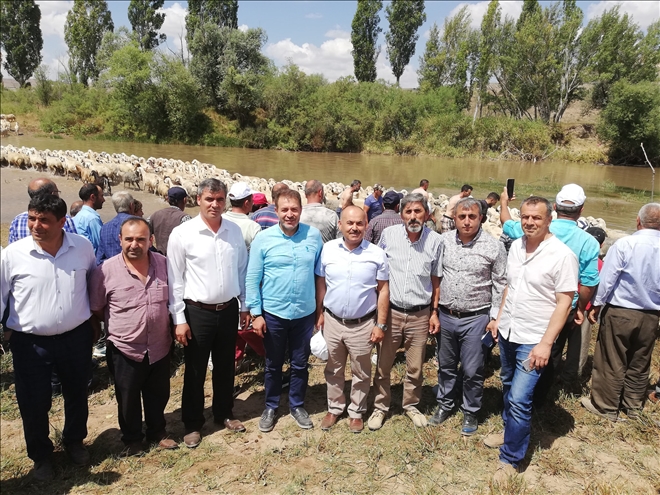 Koyunculuğa Önem Verilmeli