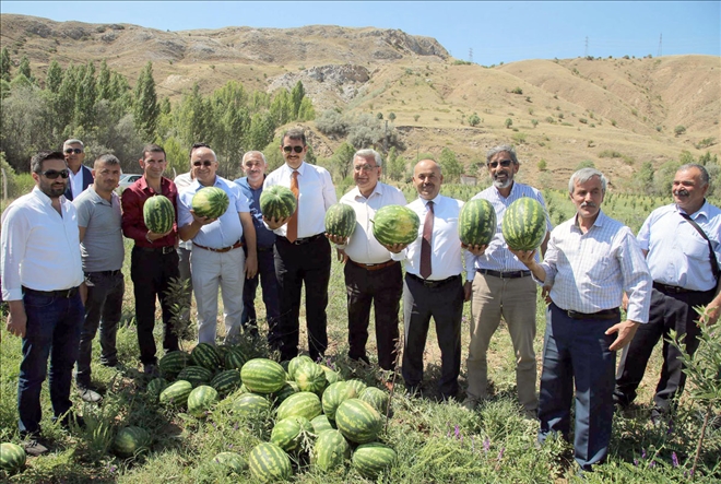 Sivas´ta Ürün Çeşitliliği Artacak