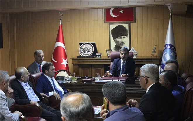 Dağ Fare Doğurdu