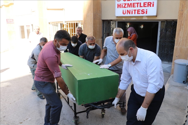  Kene Bir Ölüme Daha Neden Oldu 