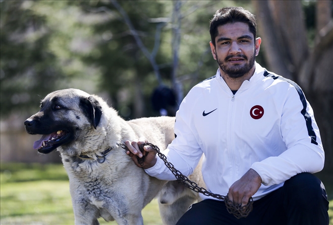 Milli Güreşçi Akgül İddialı!