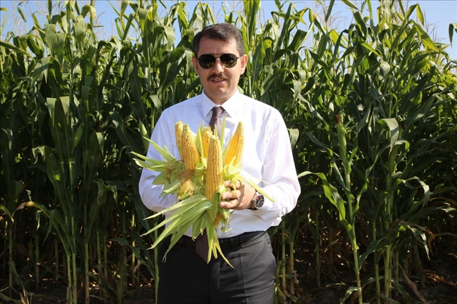 İşlenmeyen Tarlamız Kalmayacak