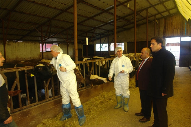 Yıldız´dan Şap Uyarısı