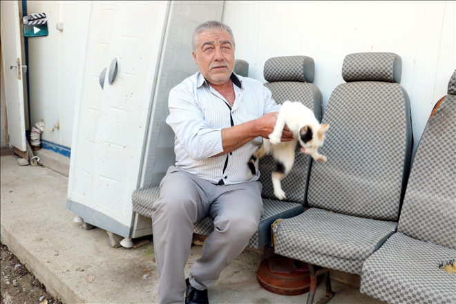 Avcı Kediler Yılanlarla Besleniyor--Video