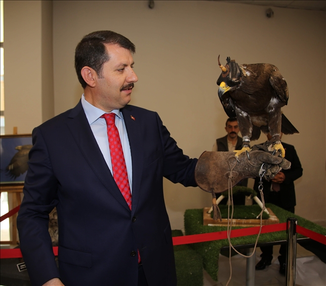 Mikroçip Örnek Olacak