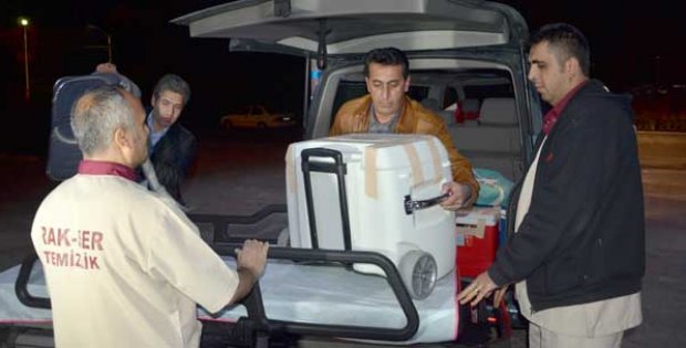 5 Cana Umut