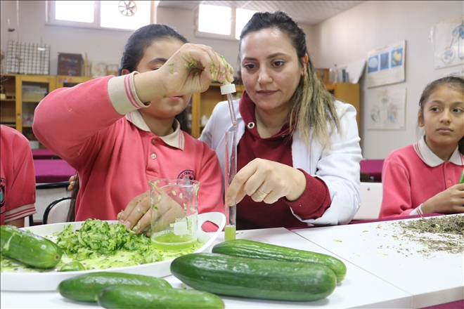 Öğrenciler Salatalıktan Koku Üretti 