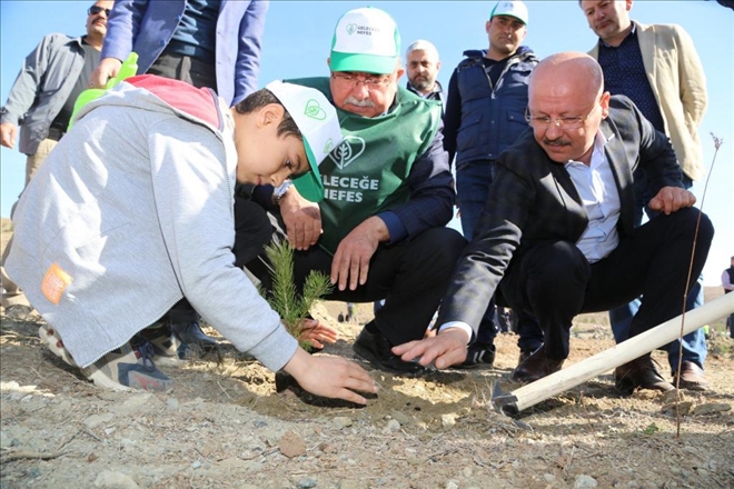 MÜSİAD´dan  Bin 158 Fidan