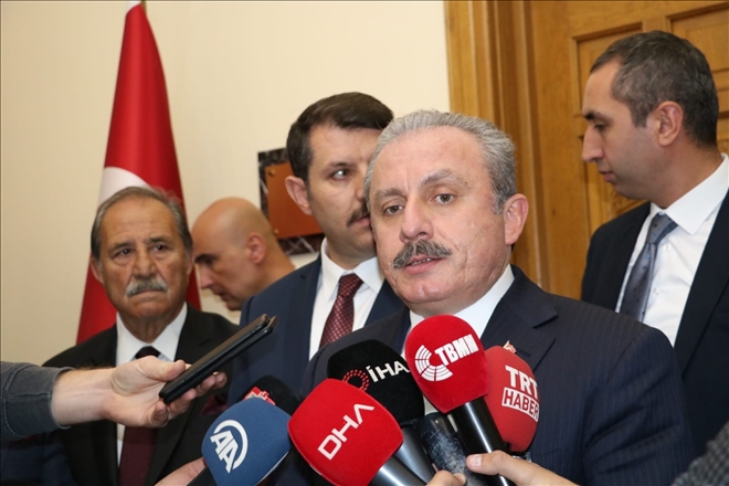 Diplomatik Başarı