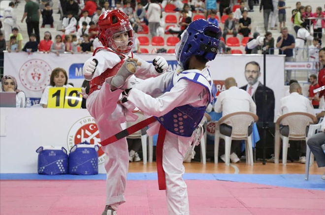 Taekwando Şampiyonası Düzenlenecek