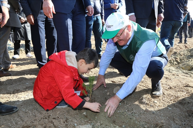 Anlamlı  Etkinlik